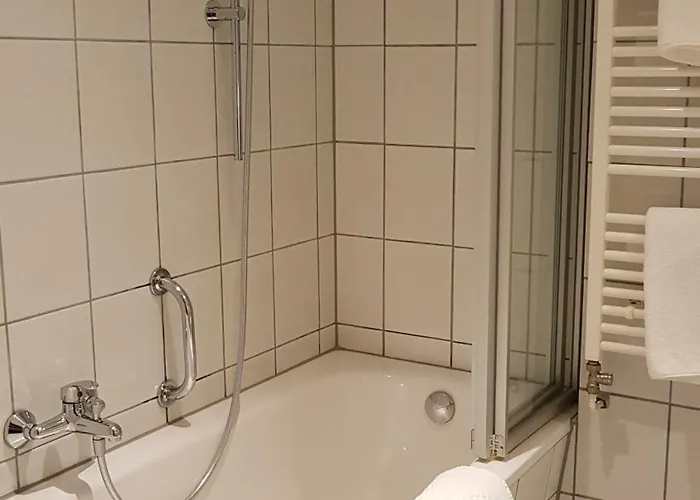 弗里克餐厅酒店 酒店 3*